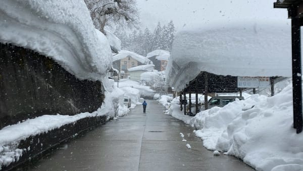 Nozawa Onsen eSIM illustration