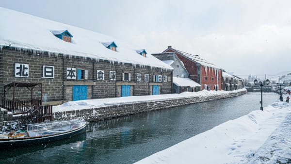 Otaru eSIM illustration