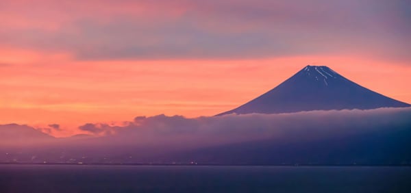 Shizuoka eSIM illustration