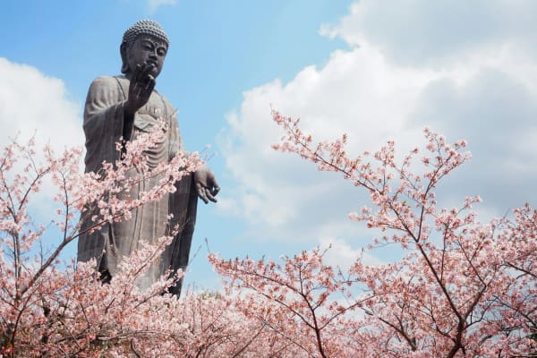 Ushiku Daibutsu eSIM illustration