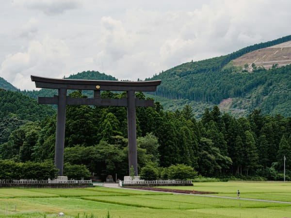 Wakayama eSIM illustration