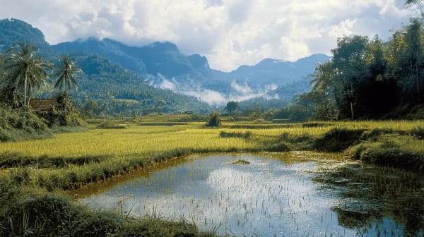 Luang Namtha eSIM illustration