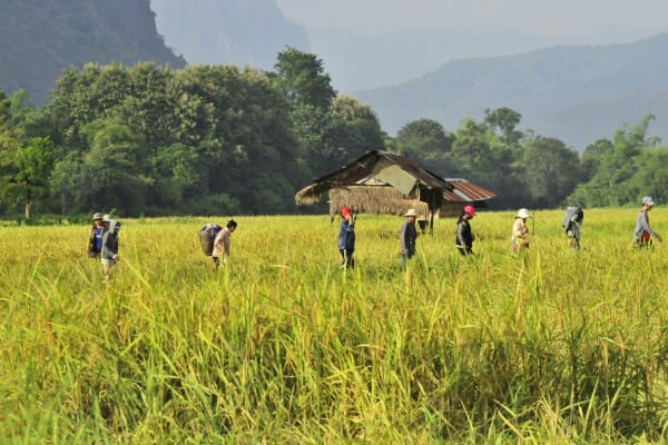 Vang Vieng eSIM illustration
