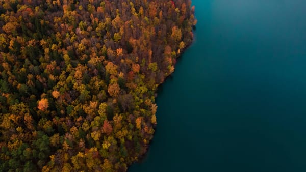 Lithuania eSIM illustration