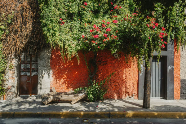 Tlaquepaque eSIM illustration