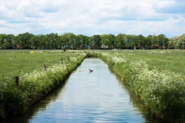 Culemborg eSIM illustration