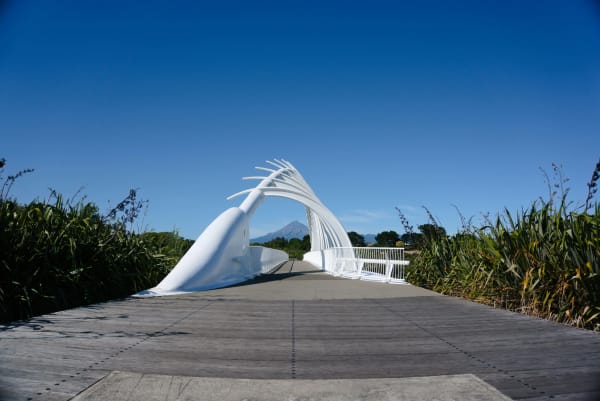 New Plymouth eSIM illustration