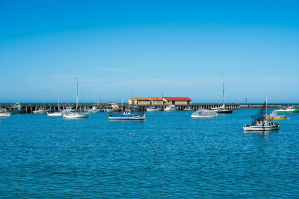 Oamaru eSIM illustration