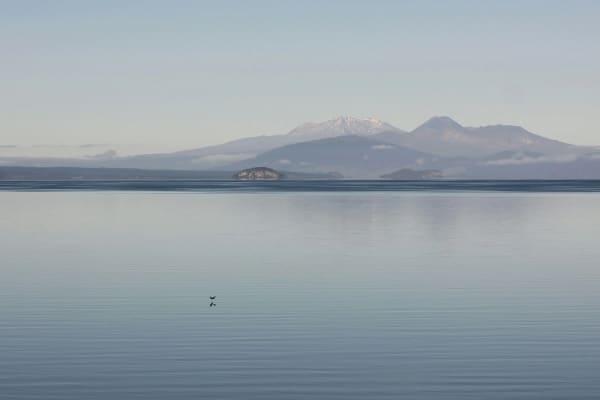 Taupo eSIM illustration