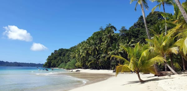 Coiba Island eSIM illustration
