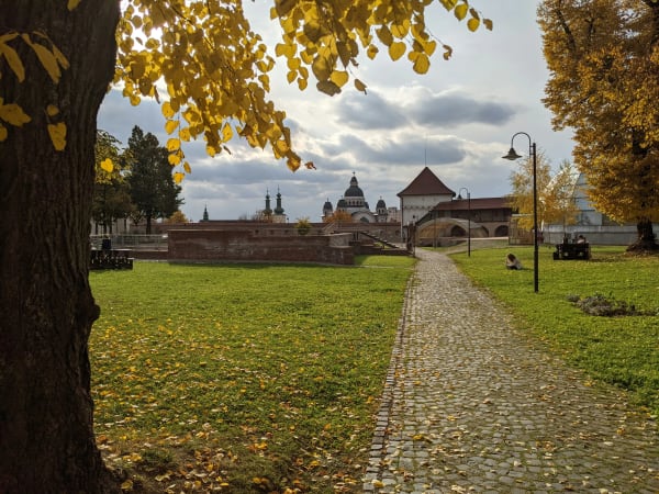 Targu Mures eSIM illustration