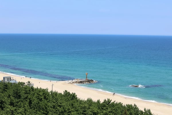 Gangneung eSIM illustration