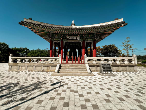 Paju eSIM illustration