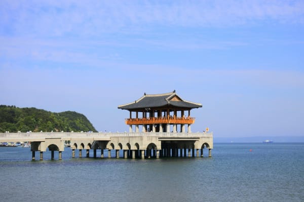Pohang eSIM illustration