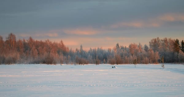 Lulea eSIM illustration