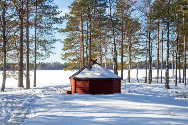 Umea eSIM illustration