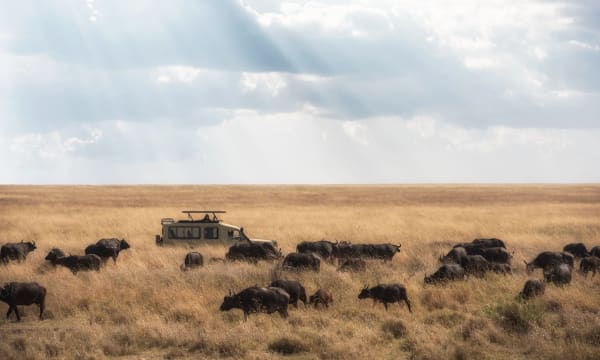 Tanzania eSIM illustration