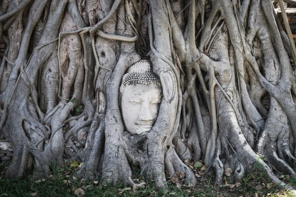 Ayutthaya eSIM illustration