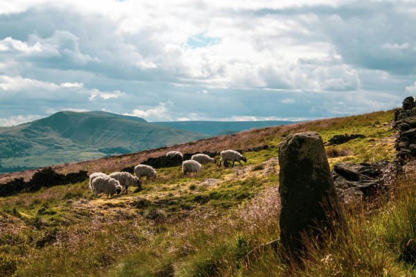 Peak District eSIM illustration