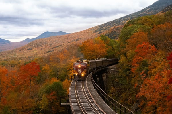 New Hampshire eSIM illustration