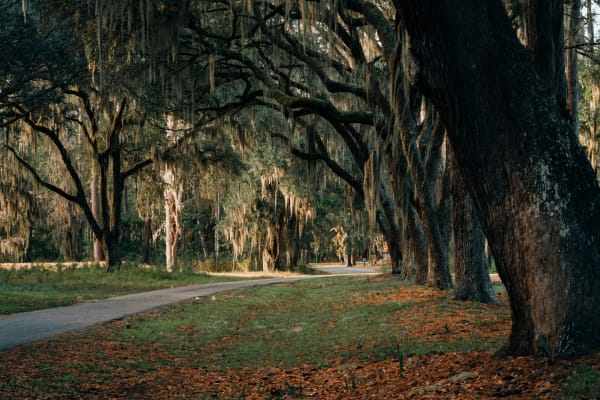 South Carolina eSIM illustration