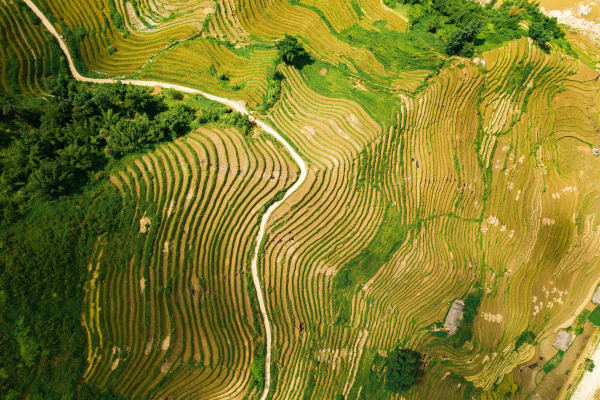 Sapa Countryside eSIM illustration