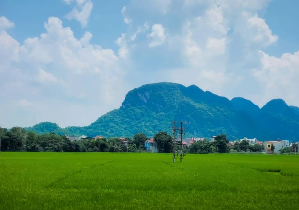Thanh Hoa eSIM illustration
