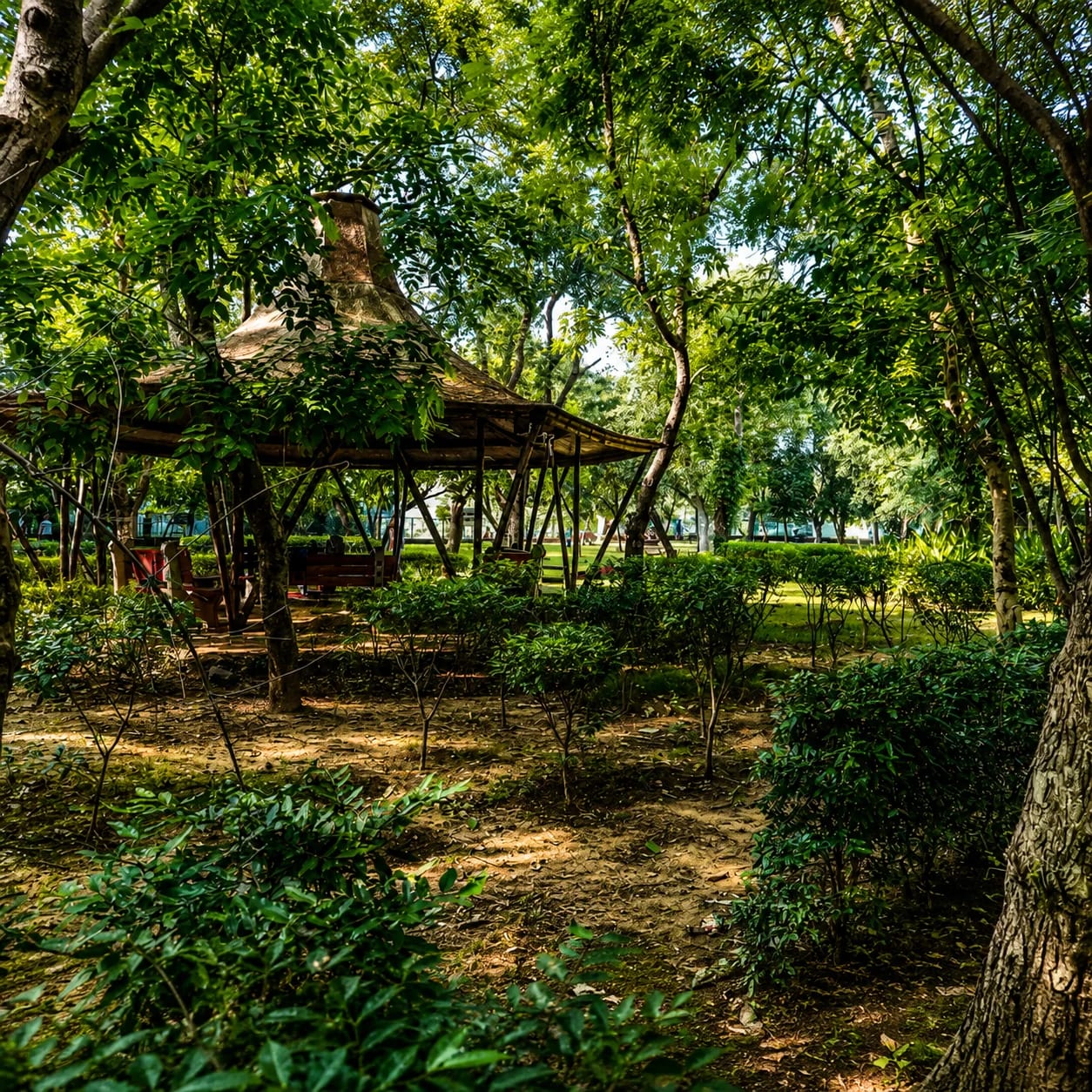 Sanjay Van image 1