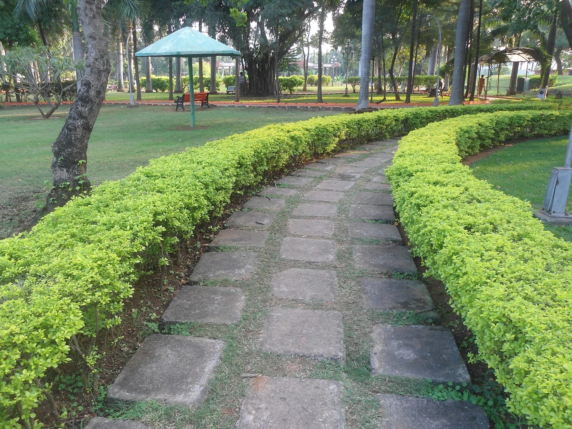 Sivaji Park image 1