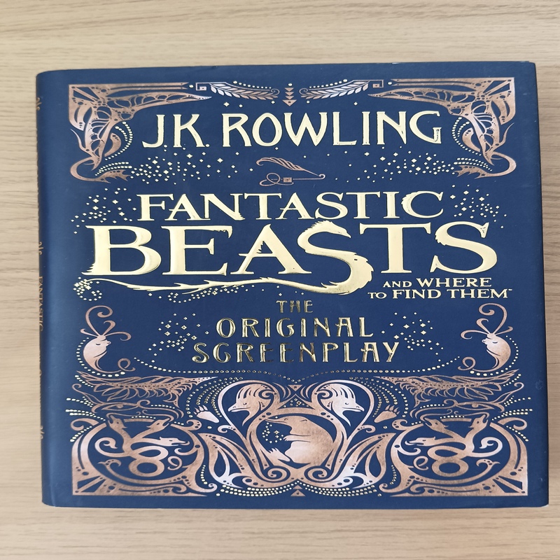 Fantastic Beasts Blu-ray + Digital + UV | J.K. Rowling Wizarding World | VGUC