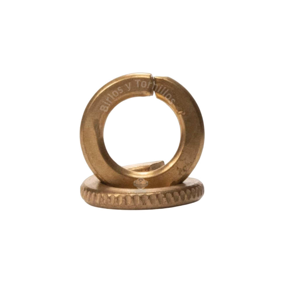 HPB Arandela de presión  de bronce