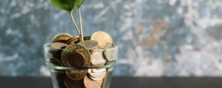 a picture of some coins in a mini pot with a flower growing out of it