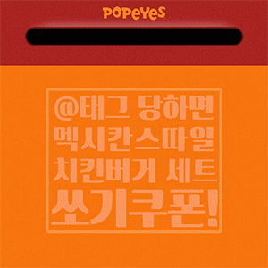 파파이스 코리아 SNS 통합 운영 6