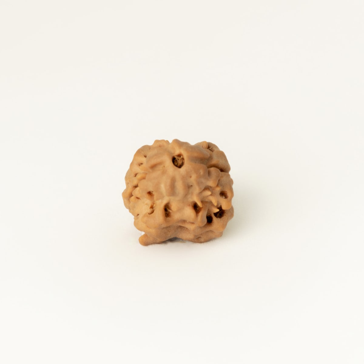 2 mukhi