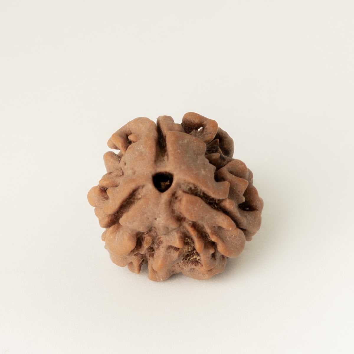 3 mukhi