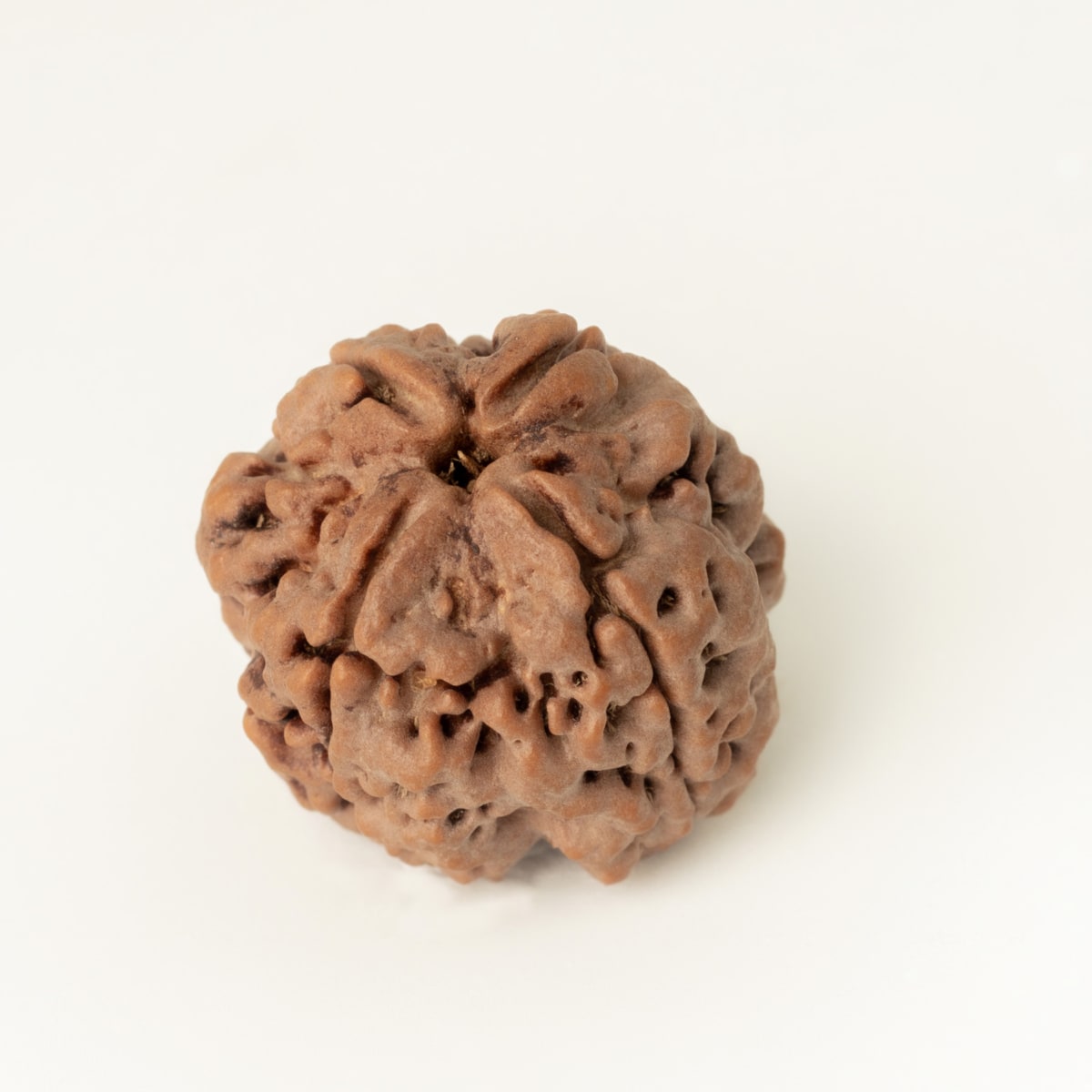 5 mukhi