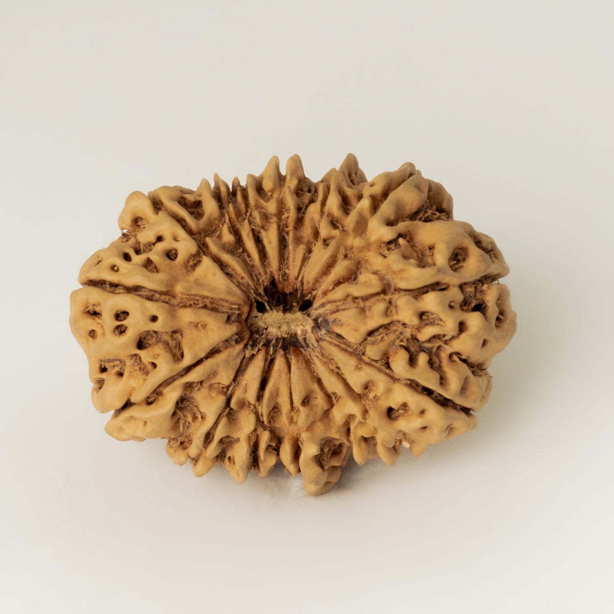 15 mukhi