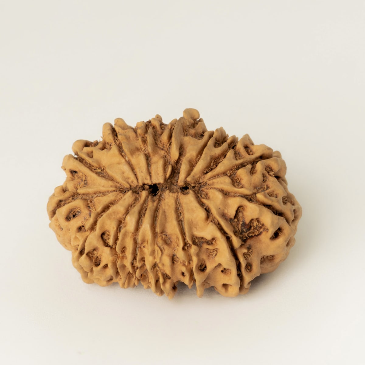15 mukhi