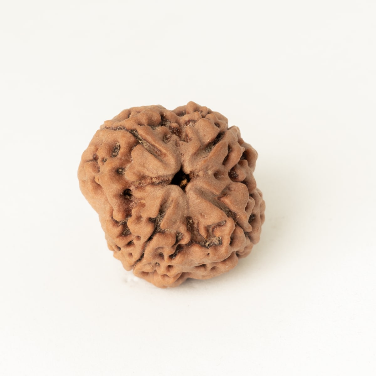 4 mukhi 