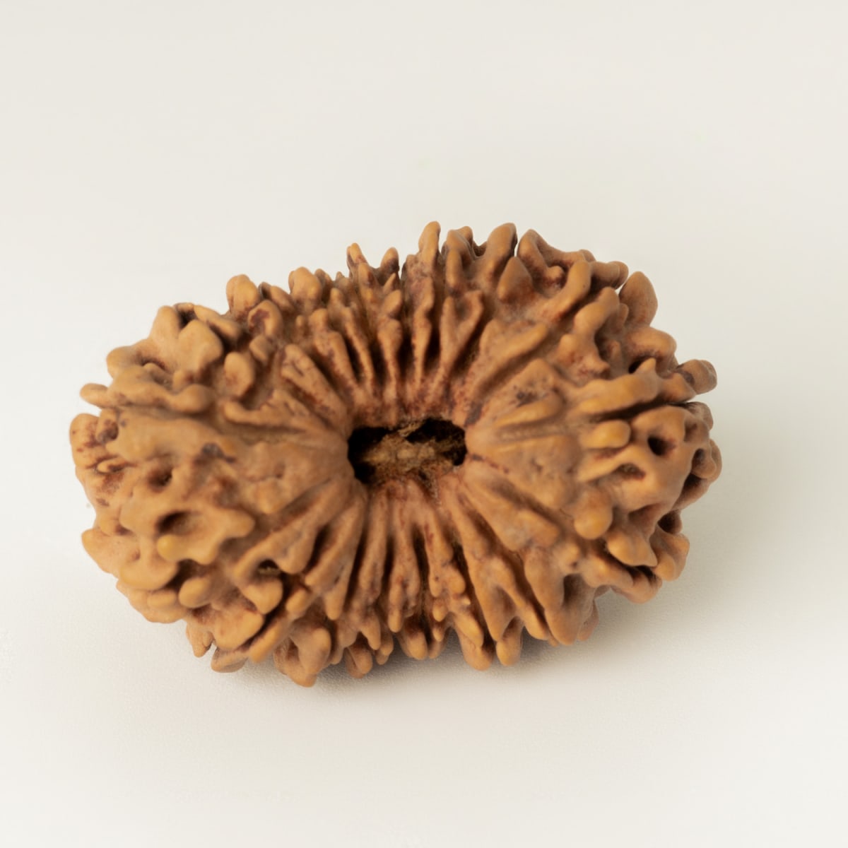 18 mukhi