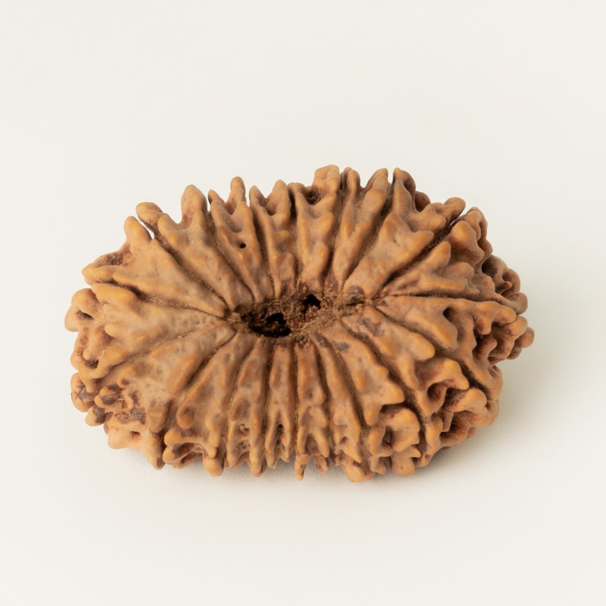18 mukhi