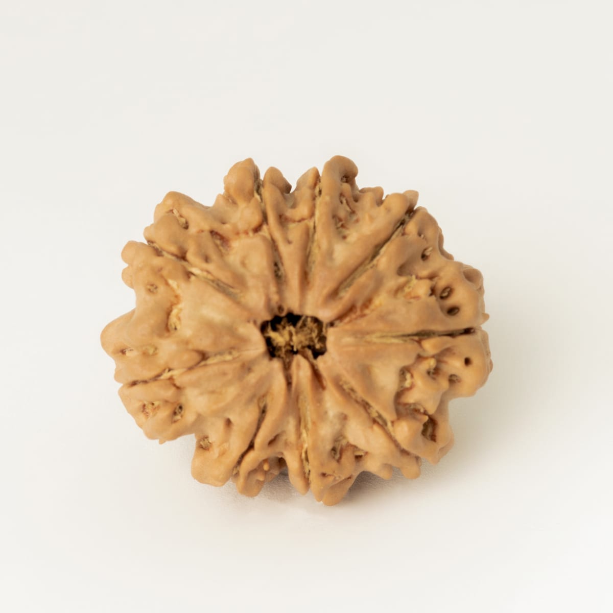 9 mukhi
