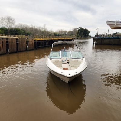 CANESTRARI 195 (2013) — MERCURY 125HP OPTIMAX  — foto 3