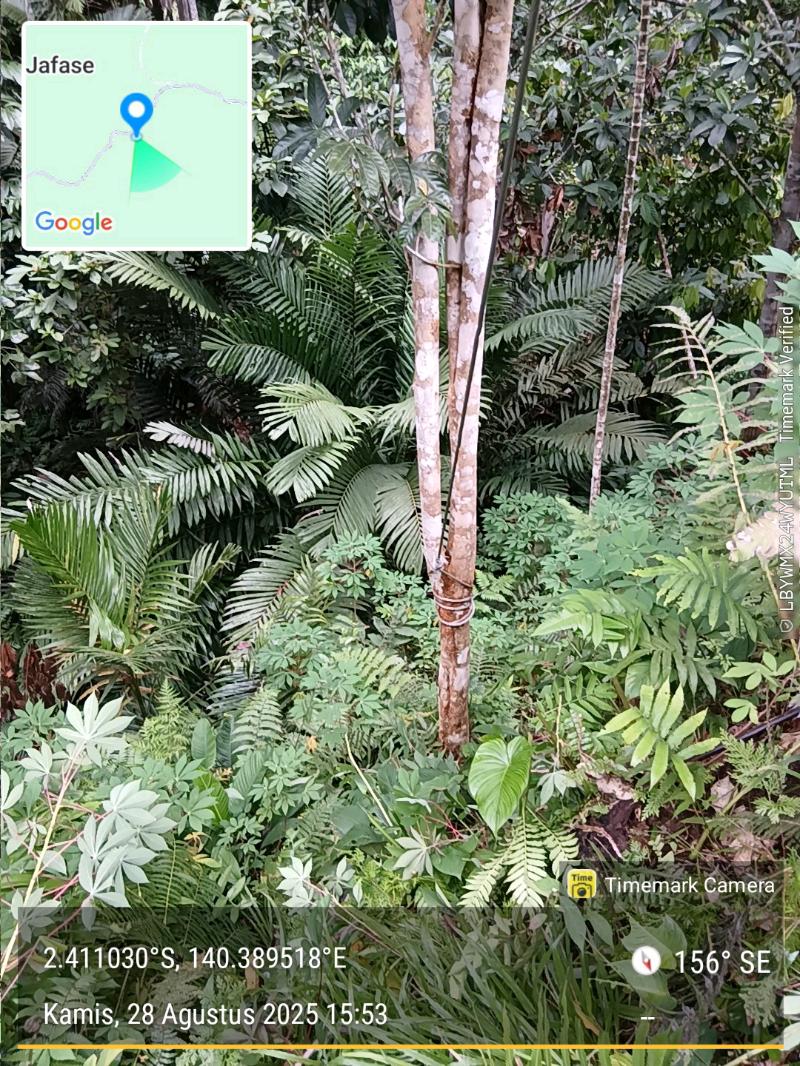 Gambar Pekerjaan