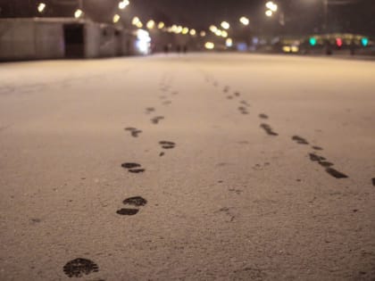 «Снежок»: синоптик об изменениях погоды на выходных