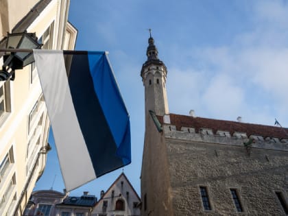 Эстония может устроить военную провокацию против России