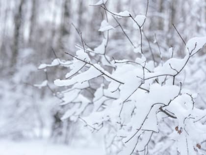 Внимание! Ожидается снегопад