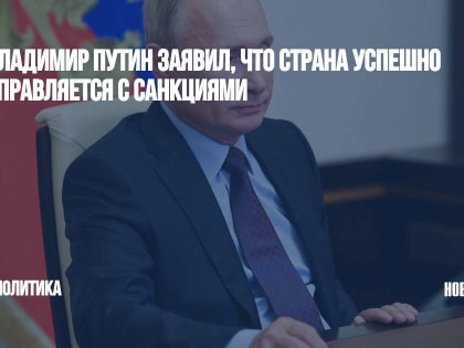 Владимир Путин заявил, что страна успешно справляется с санкциями