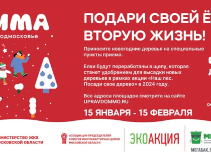 В Воскресенске пройдет традиционная акция «Подари своей елке вторую жизнь»