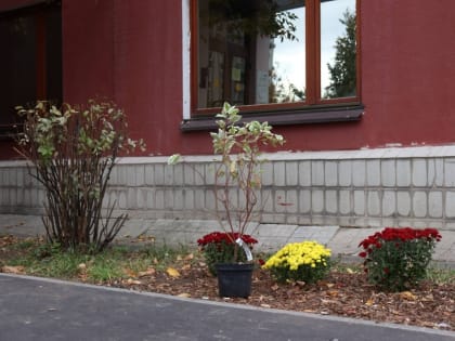 Чтобы двор стал краше: депутат от фракции «Единая Россия» подарила жителям Дзержинского цветы для придомовой территории